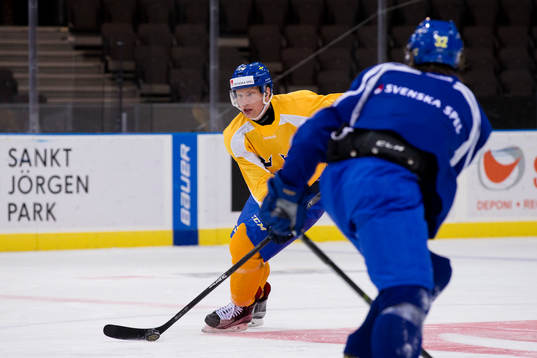 Sveriges Richard Gynge