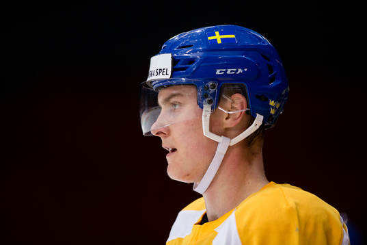 Sveriges Fredrik Händemark