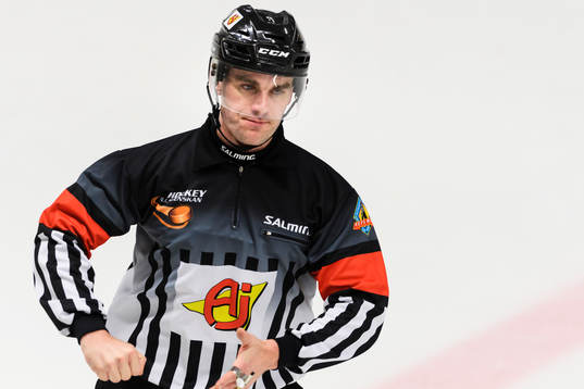 Domare Richard Magnusson