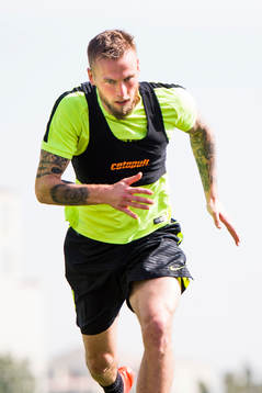 Alexander Faltsetas