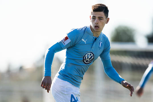 Malmö FFs Dennis Hadzikadunic