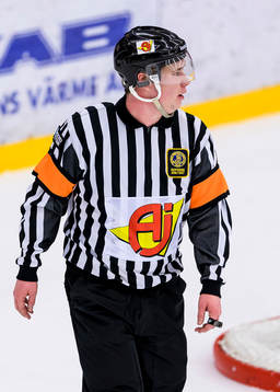 Domare Michael Hägg
