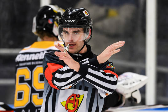 Domare Richard Magnusson