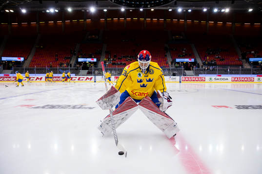 Sveriges målvakt Viktor Fasth
