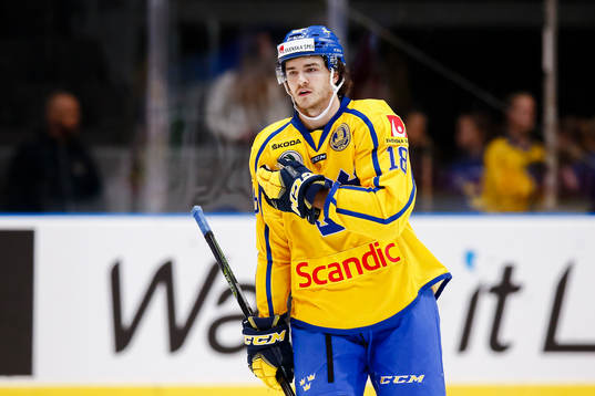 Sveriges Dennis Everberg jublar