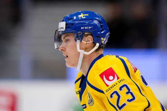Sveriges Fredrik Händemark