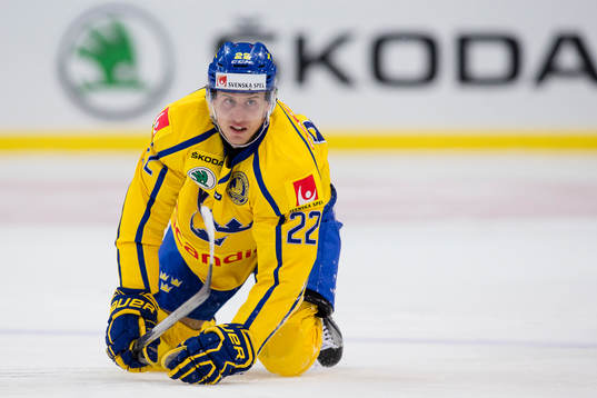 Sveriges Alexander Bergström