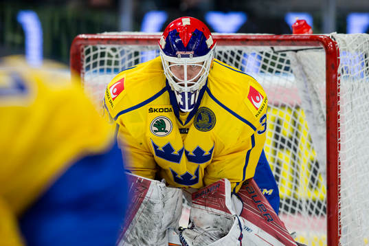 Sveriges målvakt Viktor Fasth