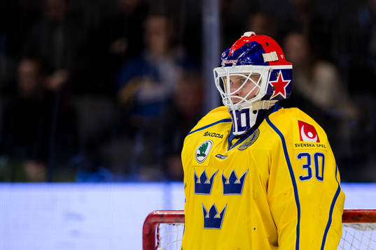 Sveriges målvakt Viktor Fasth
