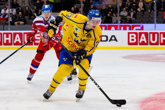 Sveriges Fredrik Händemark