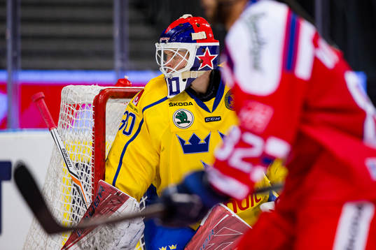 Sveriges målvakt Viktor Fasth