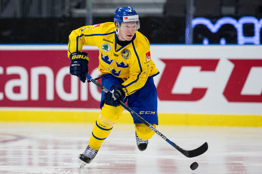 Sveriges Andreas Borgman