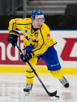 Sveriges Andreas Borgman