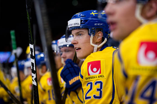 Sveriges Fredrik Händemark