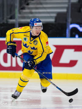 Sveriges Andreas Borgman