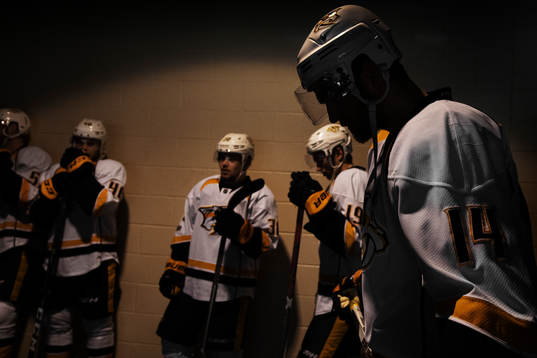 Predators Mattias Ekholm i spelargången
