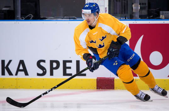 Daniel Brodin