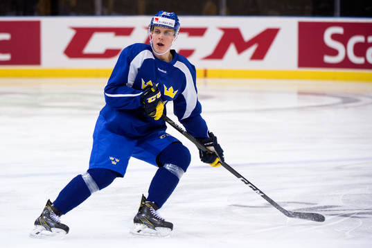Joel Eriksson Ek
