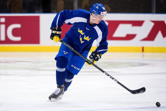 Joel Eriksson Ek