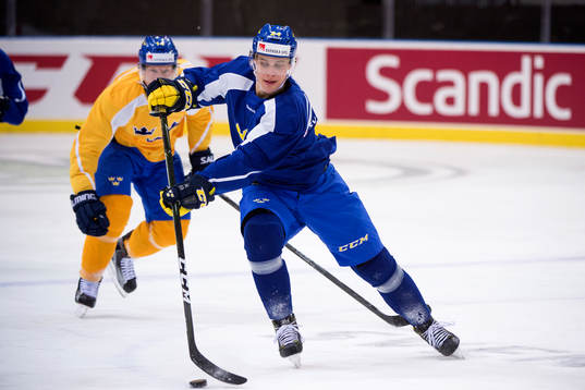 Joel Eriksson Ek