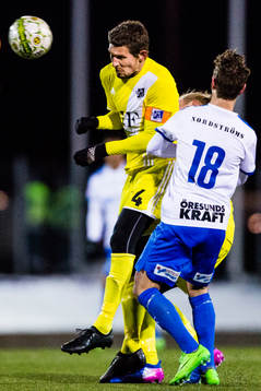 Lyngbys Mathias Tauber