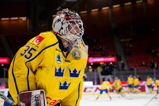 Sveriges målvakt Anders Lindbäck