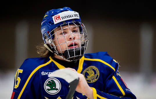 Sveriges Rickard Hugg