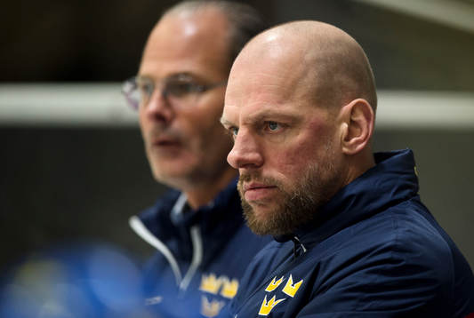 Sveriges assisterande förbundskapten Niclas Hävelid