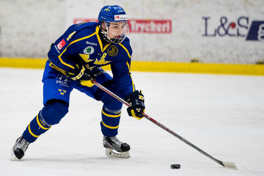 Sveriges Erik Brännström