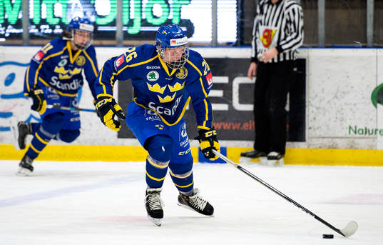 Sveriges Fabian Zetterlund