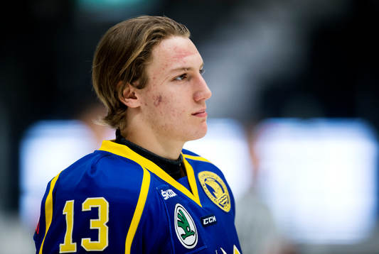 Sveriges David Gustafsson