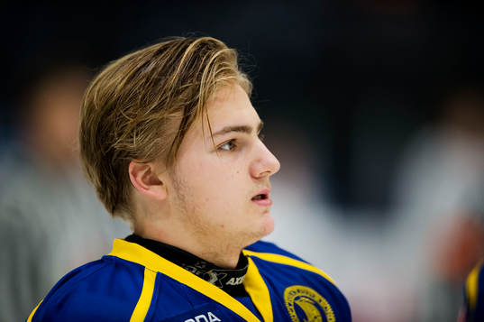 Sveriges Erik Brännström
