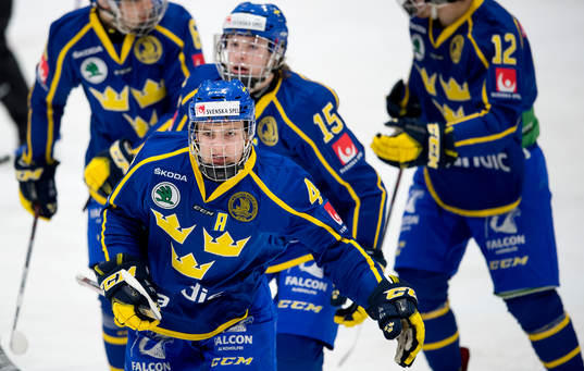 Sveriges Erik Brännström