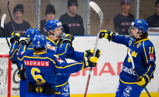 Sveriges Fabian Zetterlund, Jacob Olofsson jublar