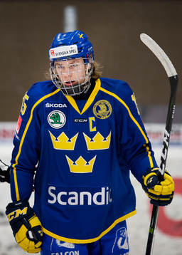 Sveriges Rickard Hugg
