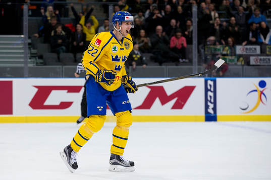 Sveriges Alexander Bergström jublar