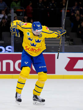 Sveriges Alexander Bergström jublar