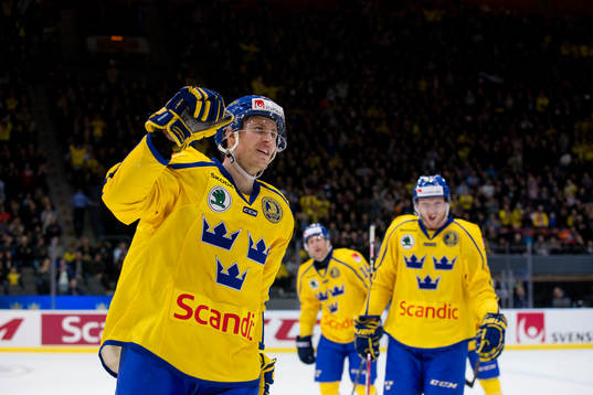 Sveriges Alexander Bergströms jublar