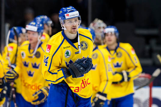 Sveriges Daniel Brodin deppar