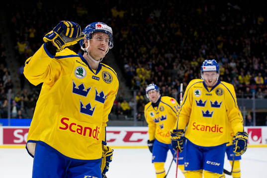 Sveriges Alexander Bergströms jublar