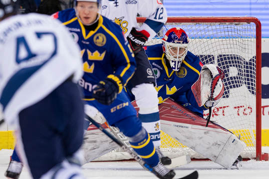 Sveriges målvakt Viktor Fasth