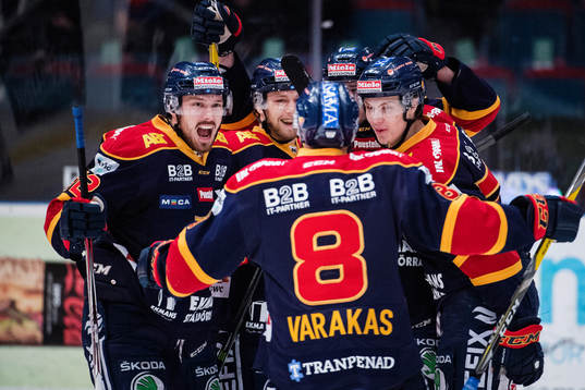 Djurgårdens Mikael Ahlén, Calle Ridderwall och Ville
