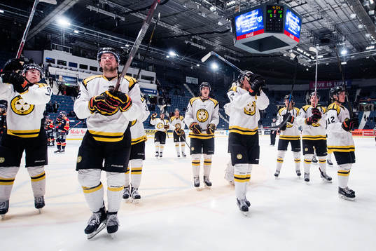 Brynäs spelare jublar