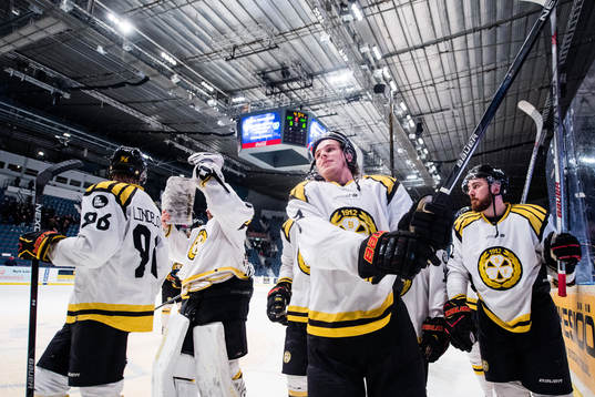Brynäs spelare jublar