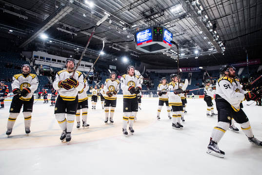 Brynäs spelare jublar