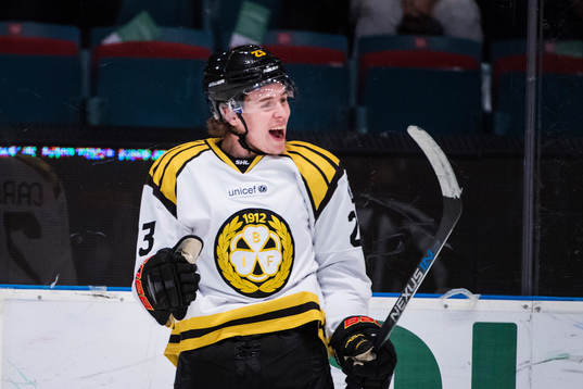 Brynäs Lucas Carlsson jublar