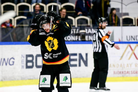 Skellefteås Niclas Burström deppar