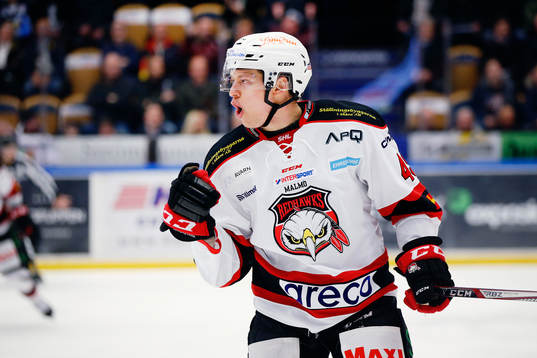 Malmö Redhawks Rhett Rakhshani jublar