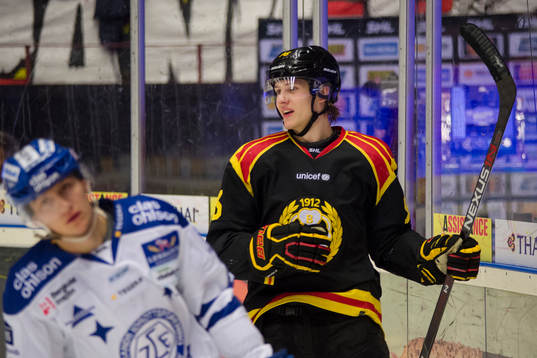 Bläddra bland fler bilder av Ishockey, SHL, Brynäs - Leksand