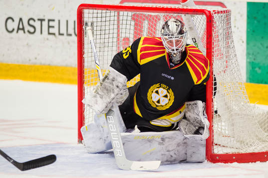Brynäs målvakt David Rautio
